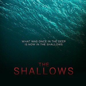 The Shallows