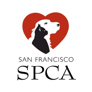 SF SPCA