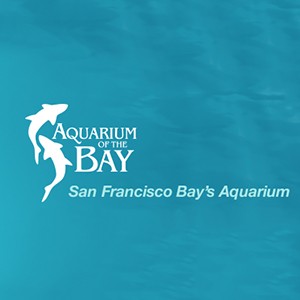 Aquarium of the Bay