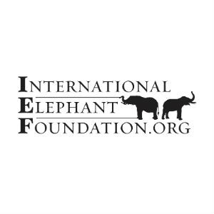 International Elephant Foundation
