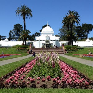 Conservatory of Flowers